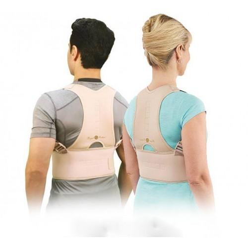 Royal Posture Back Support Belt | Pain Relief & Posture Correction Brace