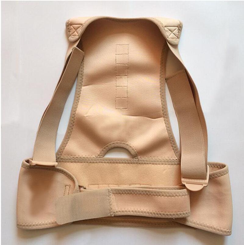 Royal Posture Back Support Belt | Pain Relief & Posture Correction Brace