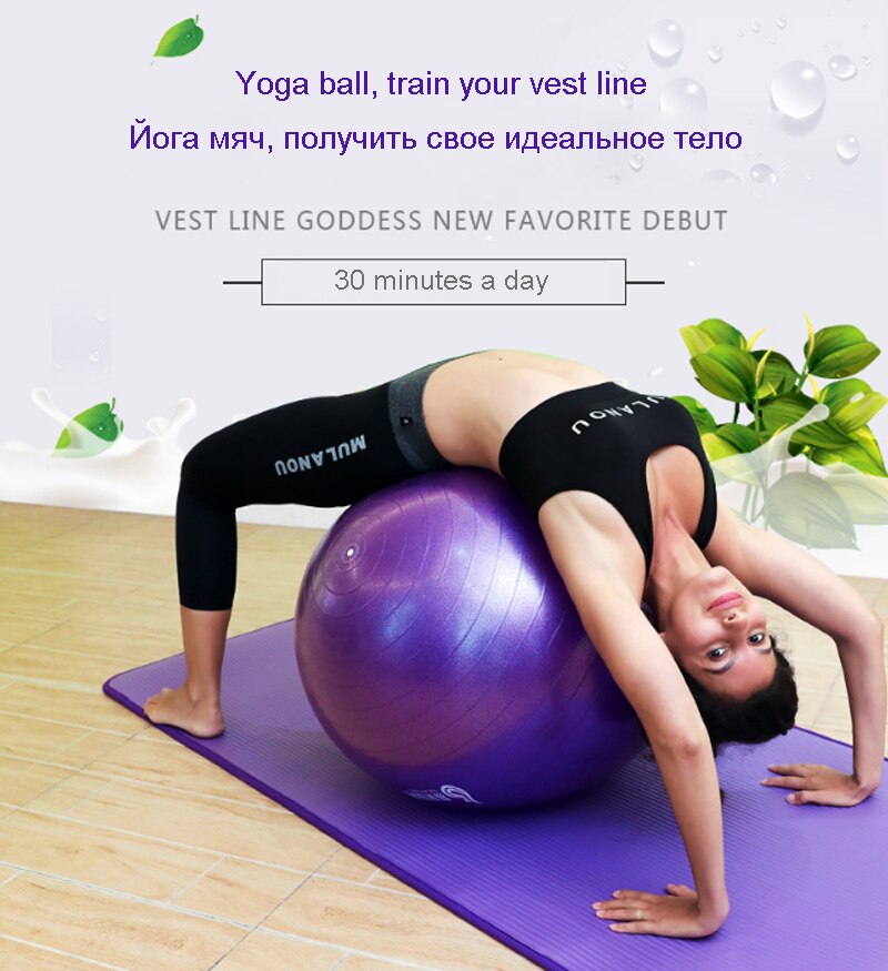 Yoga Ball Pilates Exercise Ball – Indoor Balance & Fitness Training with Pump