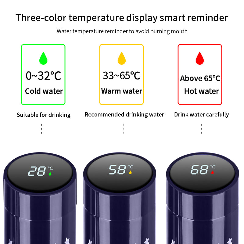 500ml Stainless Steel Starry Sky Gradient LED Temperature Display Thermos – Vacuum Insulated Bottle